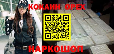 гашик Шелехов