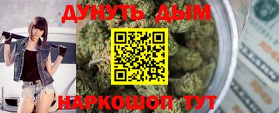 гашик Шелехов