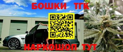 гашик Шелехов