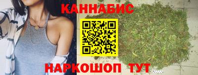 гашик Шелехов