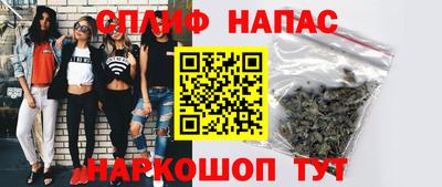 гашик Шелехов