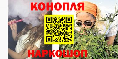 гашик Шелехов