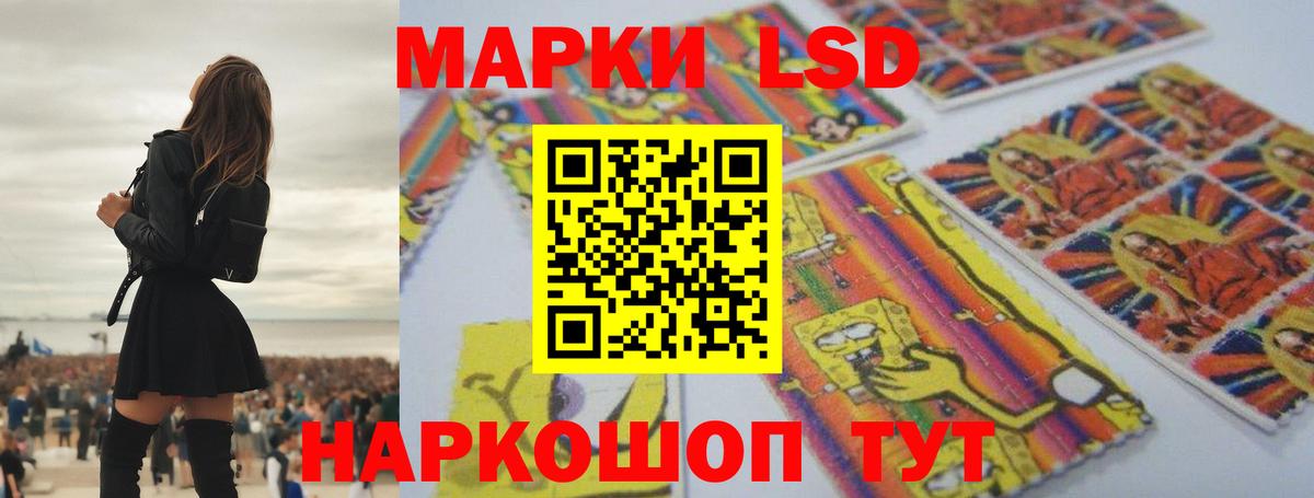 Альфа ПВП Малгобек