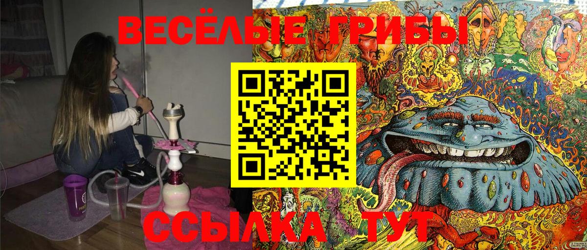 Малгобек  Галлюциногенные грибы Cubensis  Вход с VPN 