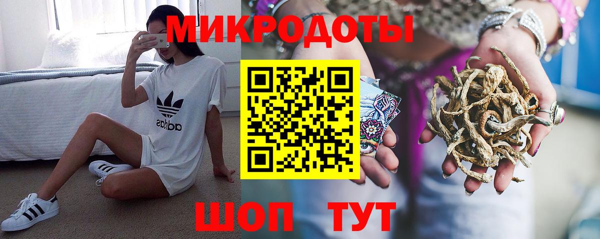 Псилоцибиновые грибы Psilocybe Малгобек